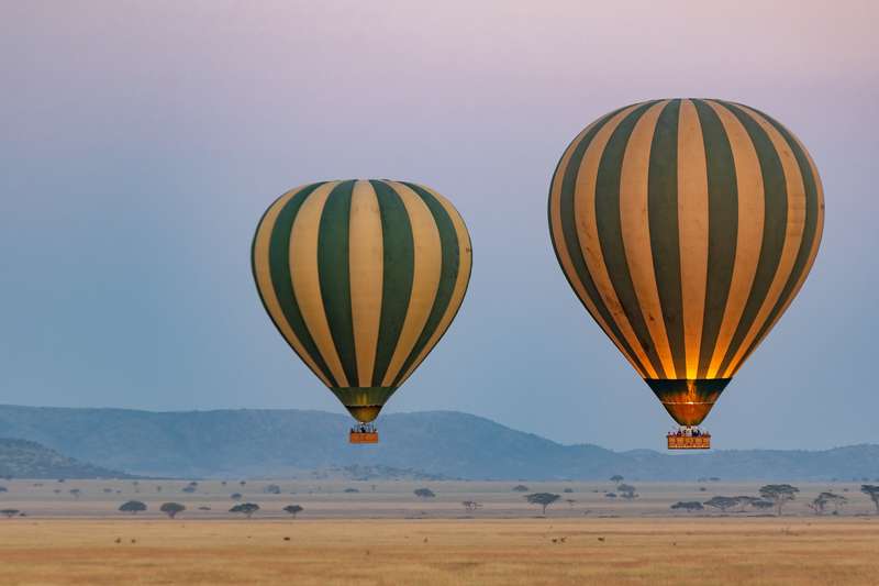 safari tanzanie 2023