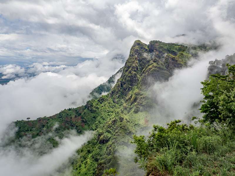 In the fog of Usambara Mountains