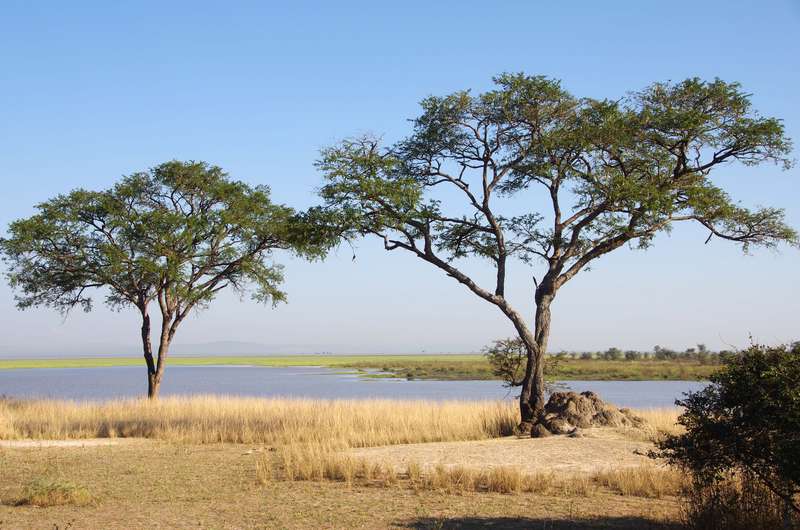 Katavi Nationalpark in Tansania