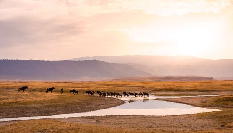 Ngorongoro Conservation Area in Tanzania