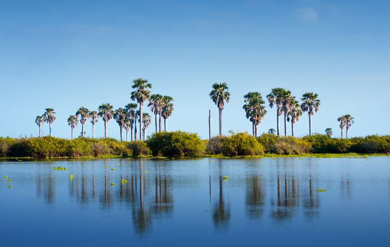 Nyerere Nationalpark in Tanzania