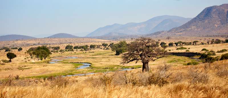 Ruaha Nationalpark in Tanzania