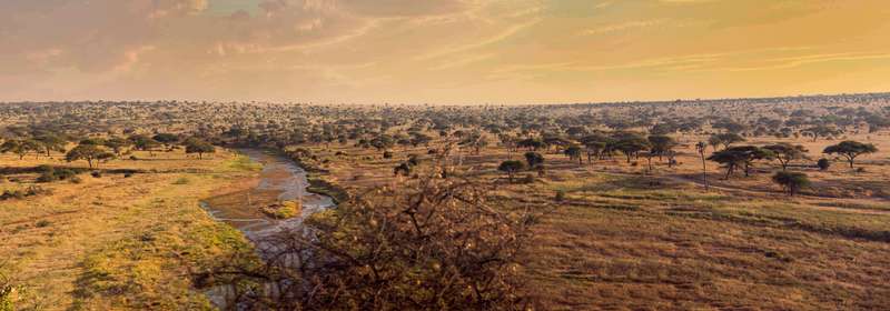 Tarangire Nationalpark in Tanzania