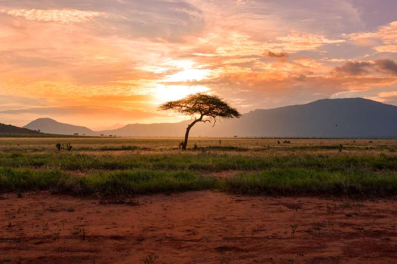 Tsavo Nationalpark in Kenia